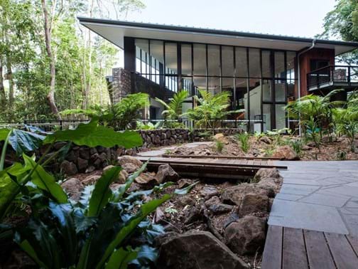 Environment & Sustainability Winner - Living Style Landscapes - Rainforest Discovery Centre, Mary Cairncross Park, Maleny
