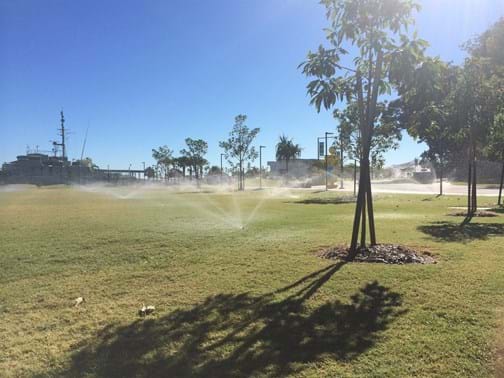Irrigation Winner - Waterworx Australia - East Shores, Gladstone